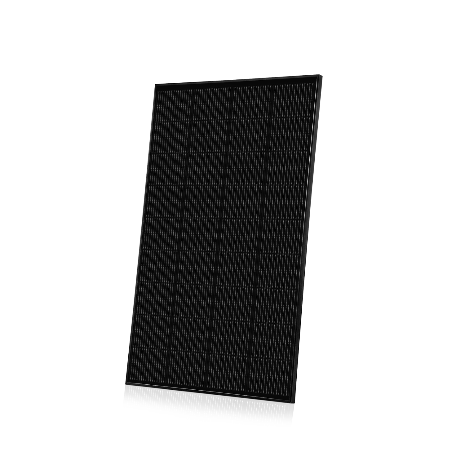 🎁 Ray 200W Solarmodul Komplett Schwarz (Special Price)