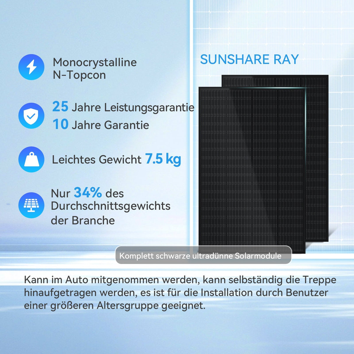 Ray Solarmodul 200W Komplett Schwarz