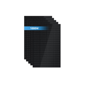 Ray Balkonkraftwerk 200W~1200W