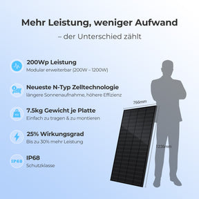 Ray Solarmodul 200W Komplett Schwarz